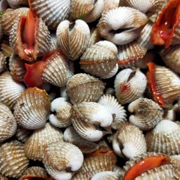 หอยแครงลวก.L