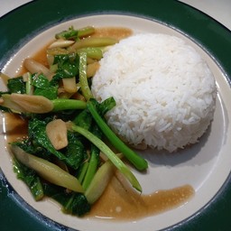 ผัดคะน้าน้ำมันหอยราดข้าว