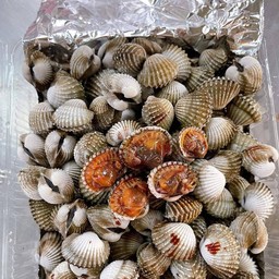 หอยแครง