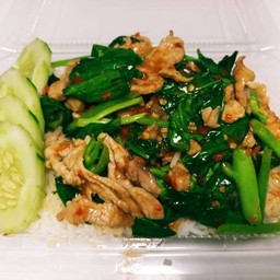 คะน้าหมูชิ้นราดข้าว