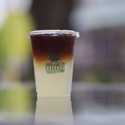 บ้านมะม่วงสามต้น