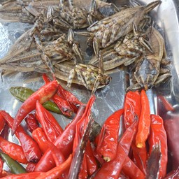 น้ำพริกแมงดาปลาทู