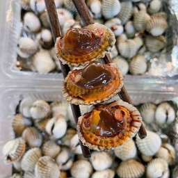 หอยแครงแบบครึ่งกิโล