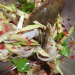 กุ๊กกิ๊ก ยกทะเลมายำ