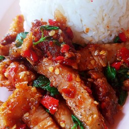 ข้าวราดกะเพราหมูกรอบ+ไข่เจียว