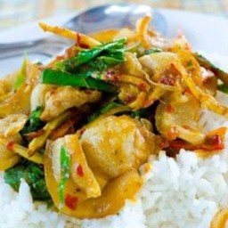 ผัดเผ็ดหมูป่าราดข้าว