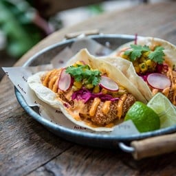 Salmon Belly Tacos