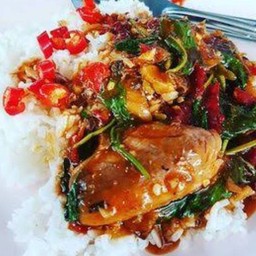 ผัดกะเพราปลากระป๋อง