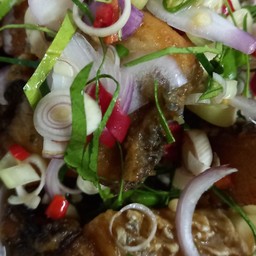 พล่าปลา