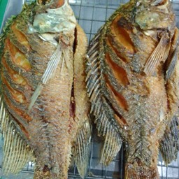 ปลานิลในกระชังทอด+น้ำปลาพริก