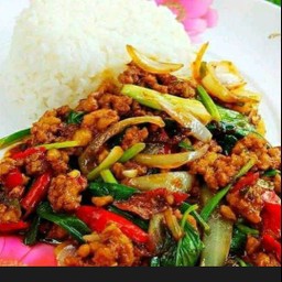 ข้าวราดหมูสับผัดโหระพา