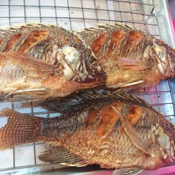 ปลานิลทอด