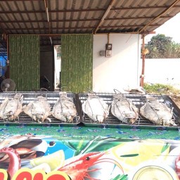 ไก่หมุน มาจ้า