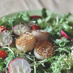 Grilled Scallops Salad
