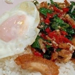 แมวโภชนา&ขนมหวาน