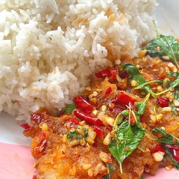 กะเพราหมูทอดทงคัตสึ