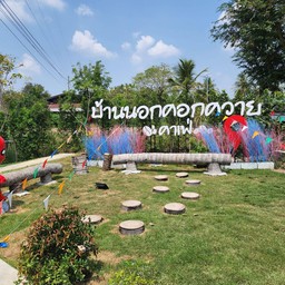 บ้านนอกคอกควาย