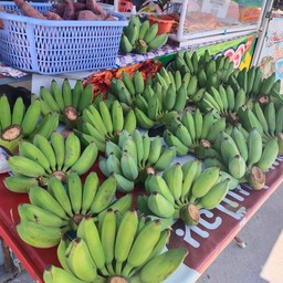 กล้วยน้ำว้าเขียวดิบ