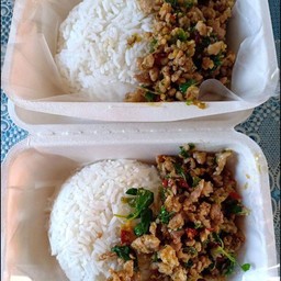 กระเพราเด็กหอ ม.มหานคร