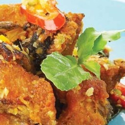 ผัดกระเพราปลาดุกกรอบ(กับข้าว)