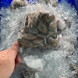 หอยผัดพริกเผา