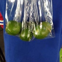 มะนาวแป้นบ้าน (พิจิตร)