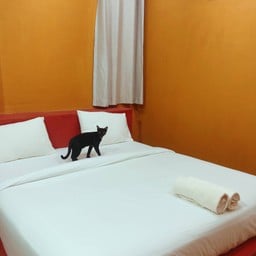 World Cat Hotel and Resort