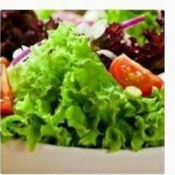 สลัดผัก