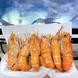 ย่างโชว์ กุ้งสด