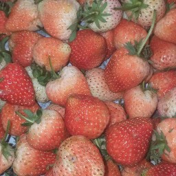 ผลไม้สด