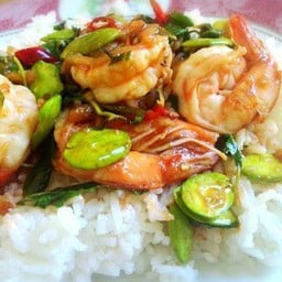 สตอผัดกะปิกุ้งราดข้าว