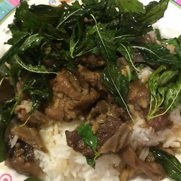 ผัดกระเพราหมูตุ๋นกระเพรากรอบ