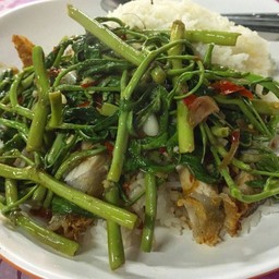 ข้าวราดกะเฉดปลาเค็ม