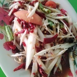 ต้นตาลไก่ย่างวิเชียรบุรี เทพารักษ์ 102