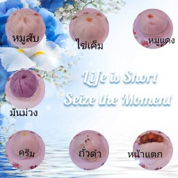 ต้นออมขนมจีบเซาลาเปา