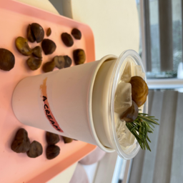 นมเกาลัด