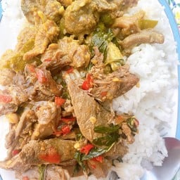 ข้าวราดแกงเนื้อ,ผัดกะเพราเป็ด