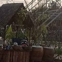 ปลาอบโอ่ง อำนวยพร1