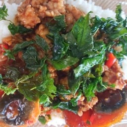 กะเพรากรอบไข่เหยี่ยวม้าราดข้าว