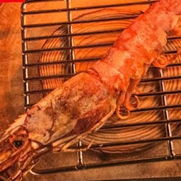 041 Grilled Red Shrimp Skewers