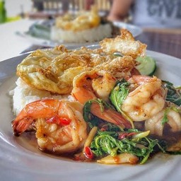 ข้าวราดกะเพรากุ้ง (ไม่แถมไข่ดาว)