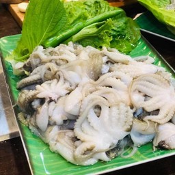 ปลาหมึกสาย