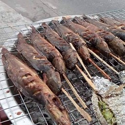 ปลาดูกย่าง