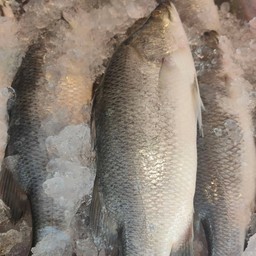 อาหารทะเลสดเจ้แวว สะพานสูง