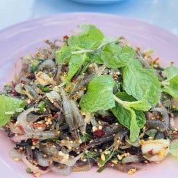 Fisherman shop@nakhonphanom