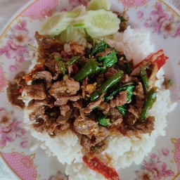 ข้าวราดผัดกะเพรา