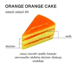 Orange Orange Cake (wow)