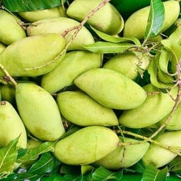 มะม่วงน้ำดอกไม้ กิโลละ