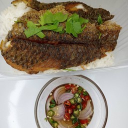 ข้าวปลาแกะ