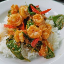 พลังใบ กะเพรากุ้ง